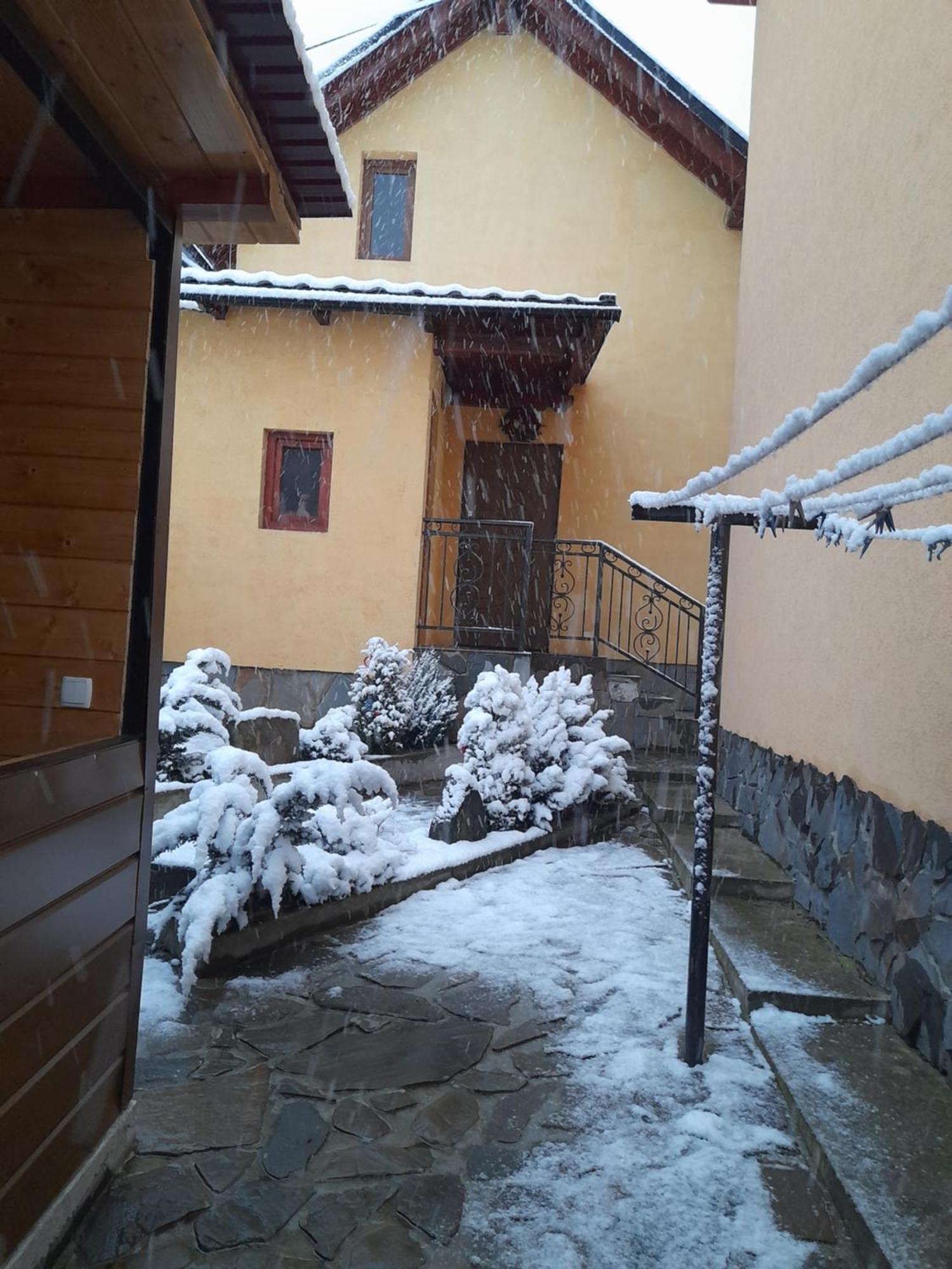 Dva Opryshka Villa Yaremche Dış mekan fotoğraf