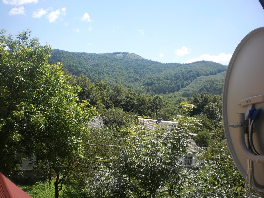 Dva Opryshka Villa Yaremche Dış mekan fotoğraf